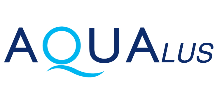 Công nghệ Việt Mỹ